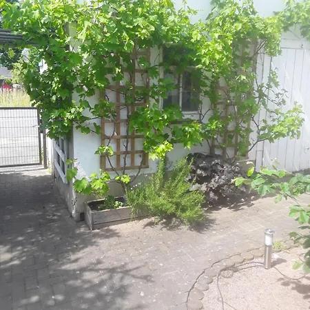 Erika * Geringswalde