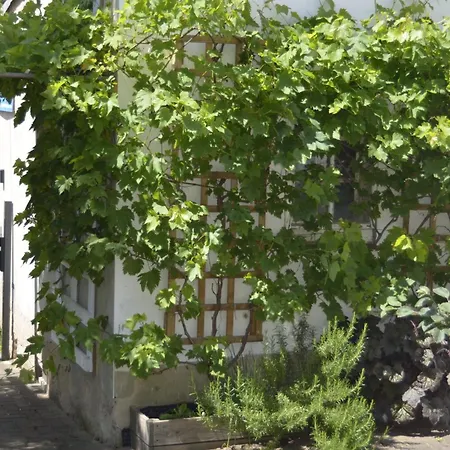 Erika * Geringswalde