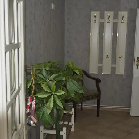 Erika Holiday home