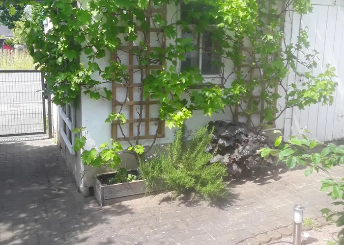 Erika * Geringswalde