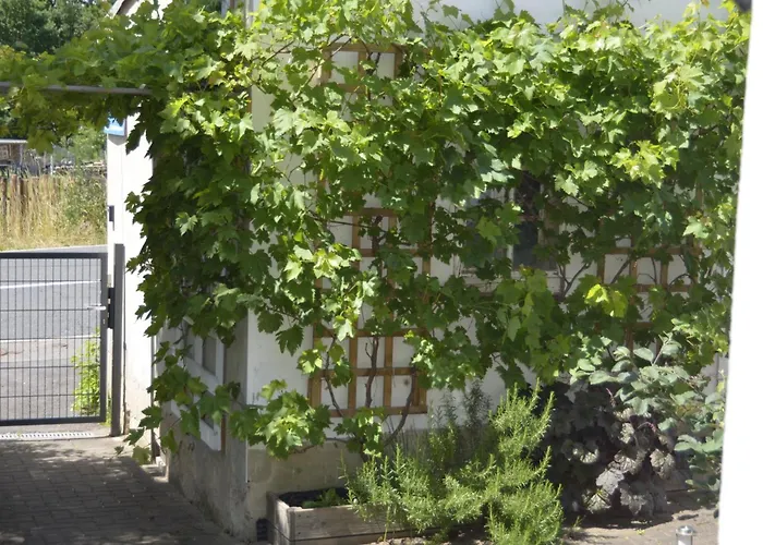 Erika * Geringswalde