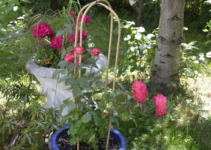 Holiday home Erika *